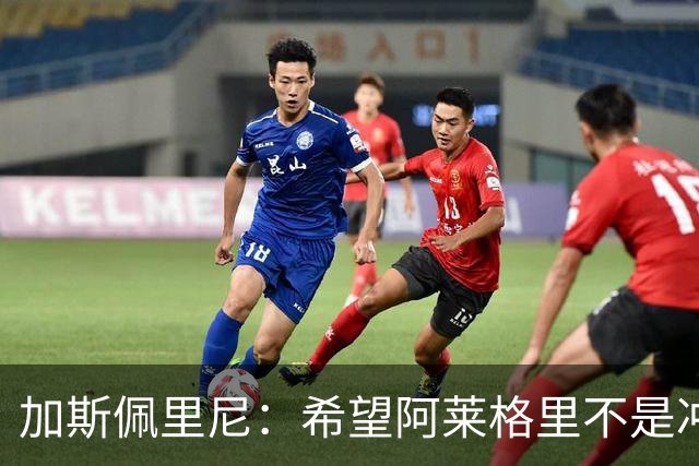 加斯佩里尼：希望阿莱格里不是冲我生气，把他罚下的可不是我