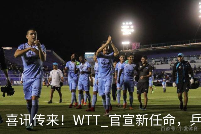 喜讯传来！WTT 官宣新任命，乒乓美女升职，扛起总监重任！