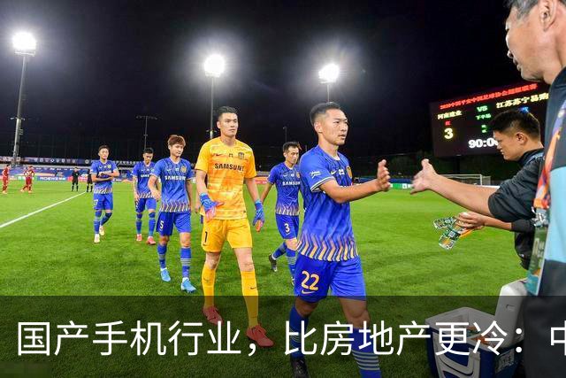 国产手机行业，比房地产更冷：中低端手机涨价，消费者用脚投票