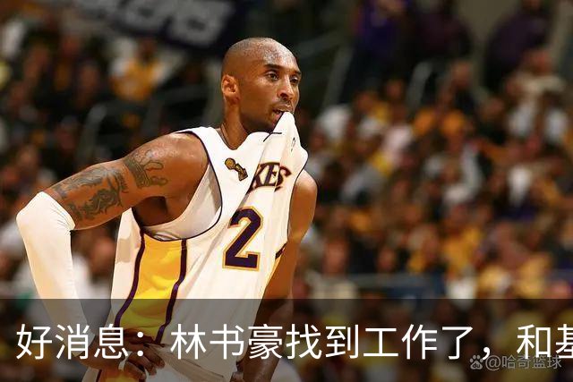 好消息：林书豪找到工作了，和基德成为新同事