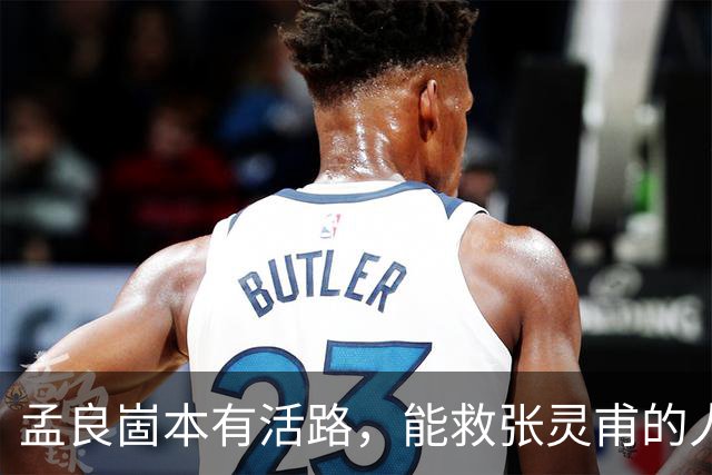 孟良崮本有活路，能救张灵甫的人却被自己人一脚踢开