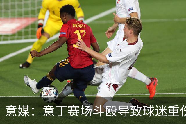 意媒：意丁赛场斗殴导致球迷重伤，11人被处5至10年观赛禁令