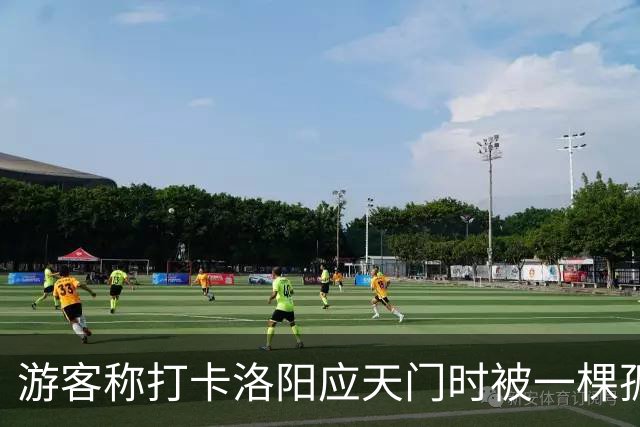 游客称打卡洛阳应天门时被一棵孤树遮挡，网友称“树比门早”，当地：树是百年古树，修建应天门时专门保留