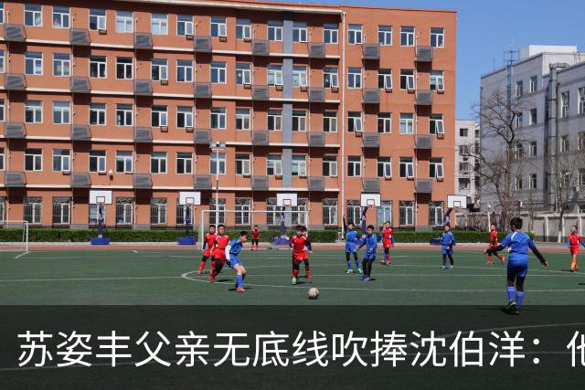 苏姿丰父亲无底线吹捧沈伯洋：他若当选，把台北改造成亚洲最伟大的城市