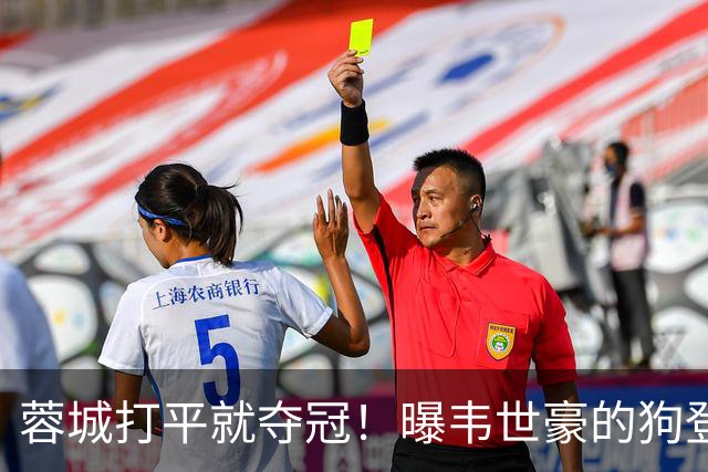 蓉城打平就夺冠！曝韦世豪的狗登上看台TIFO：见识见识你的本事