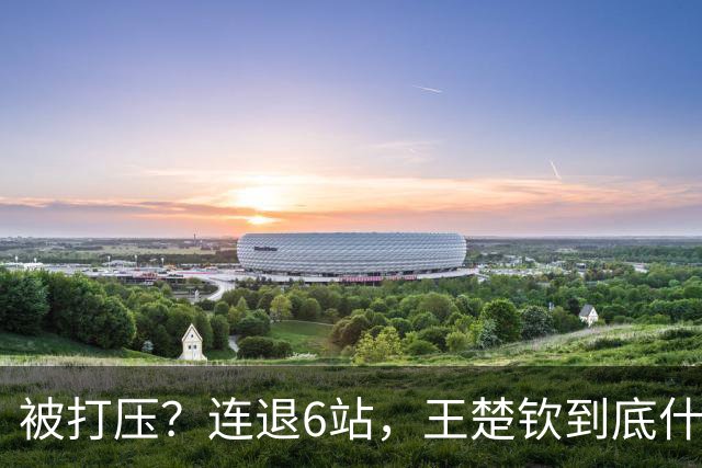 被打压？连退6站，王楚钦到底什么伤病？名记：孙颖莎已半年没商业活动