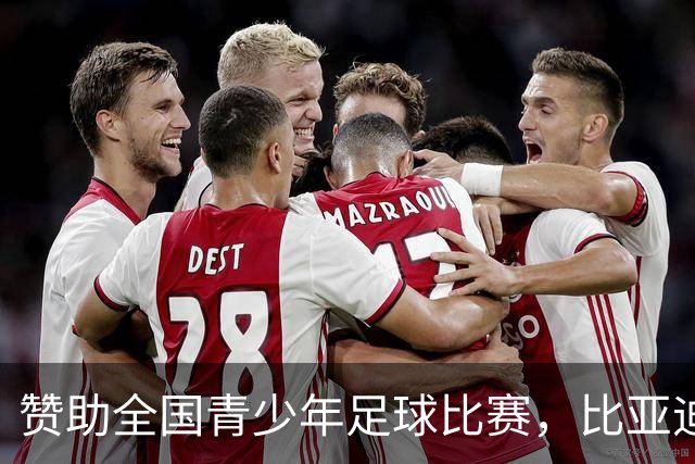 赞助全国青少年足球比赛，比亚迪在下一盘什么棋？