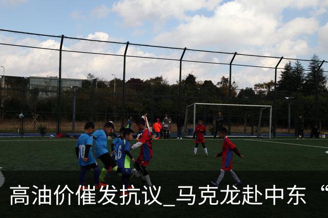 高油价催发抗议 马克龙赴中东“搞油”