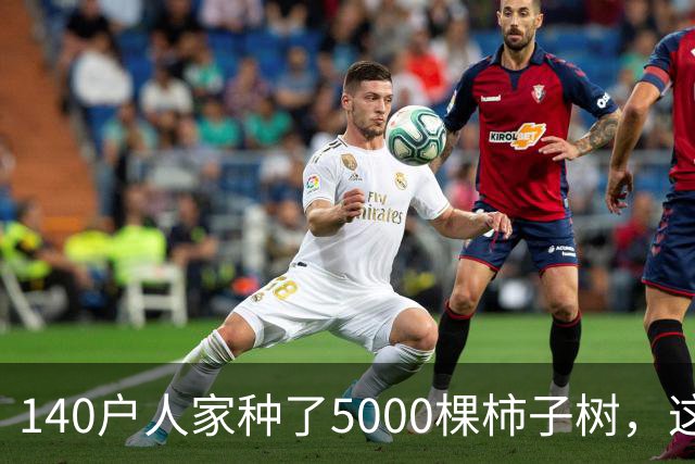 140户人家种了5000棵柿子树，这个浙江小村国庆6天来了8万人